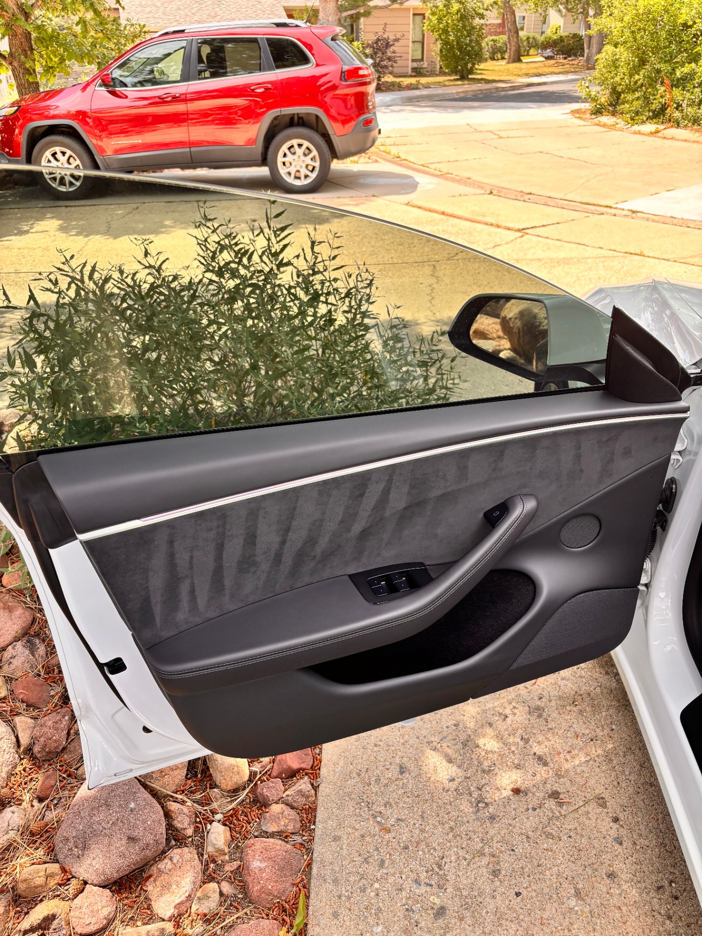Tesla door panel and window after detailing